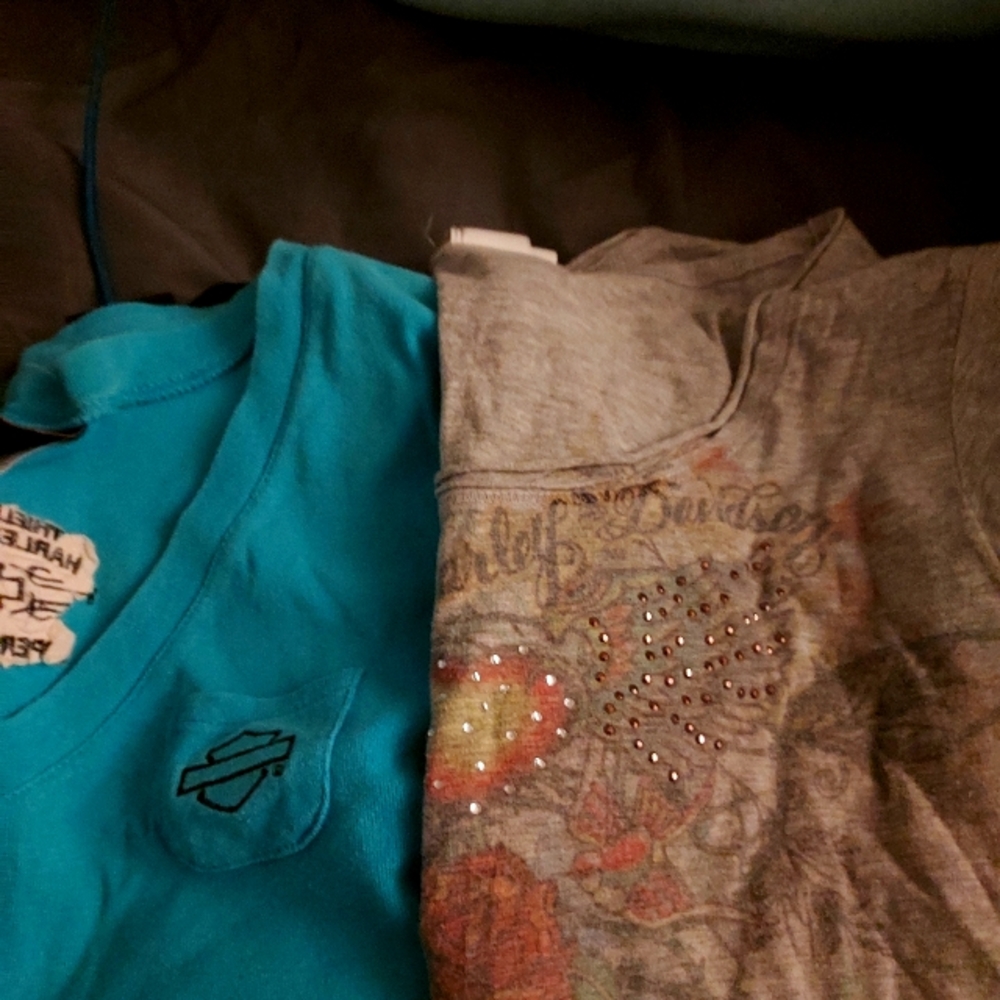 Harley Davidson tops lot 2